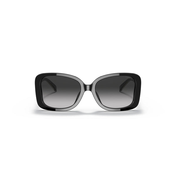 Coach Women's Butterfly Frame Black Acetate Sunglasses - HC8334U