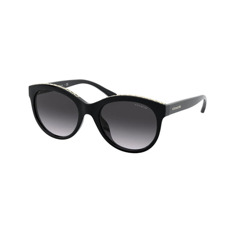 Coach Women's Phantos Frame Black Injected Sunglasses - HC8297U