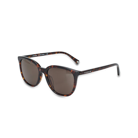 Coach Men's Square Frame Havana Acetate Sunglasses - HC8338U