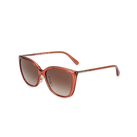 Coach Women's Square Frame Brown Injected Sunglasses - HC8345