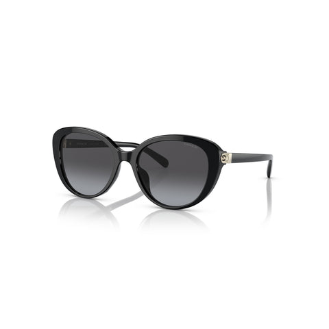 Coach Women's Cat Eye Frame Black Acetate Sunglasses - HC8348U