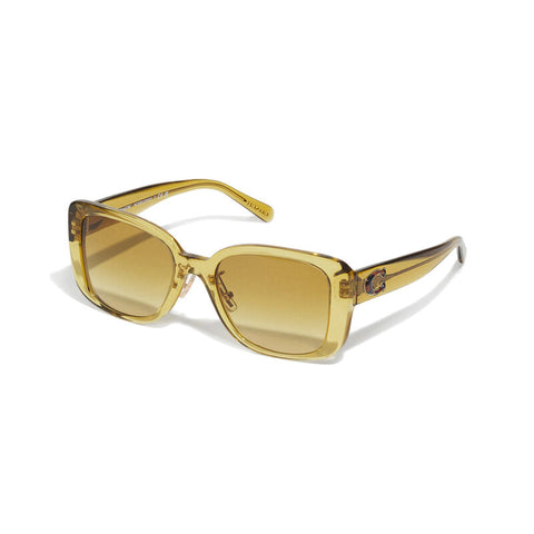 Coach Women's Square Frame Honey Acetate Sunglasses - HC8352