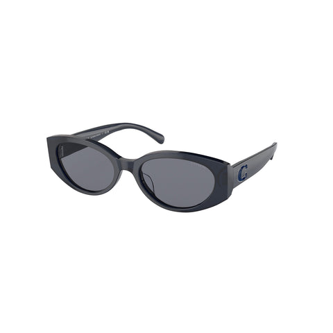 Coach Women's Oval Frame Blue Acetate Sunglasses - HC8353U