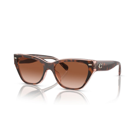 Coach Women's Cat Eye Frame Brown Acetate Sunglasses - HC8370U