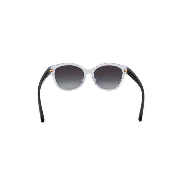 Armani Exchange Women's Cat Eye Frame Clear Acetate Sunglasses - AX4127SF