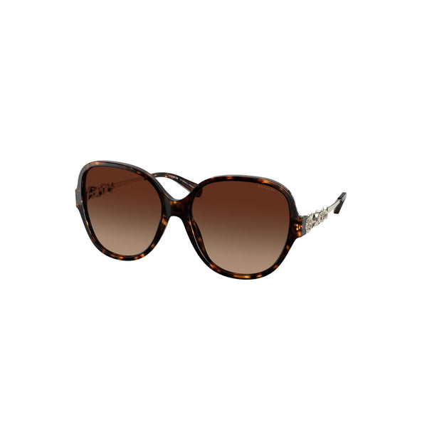 Coach Women's Square Frame Brown Acetate Sunglasses - HC8303B