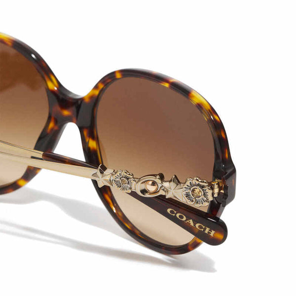 Coach Women's Square Frame Brown Acetate Sunglasses - HC8303B