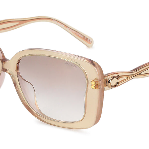 Coach Women's Butterfly Frame Pink Acetate Sunglasses - HC8334U