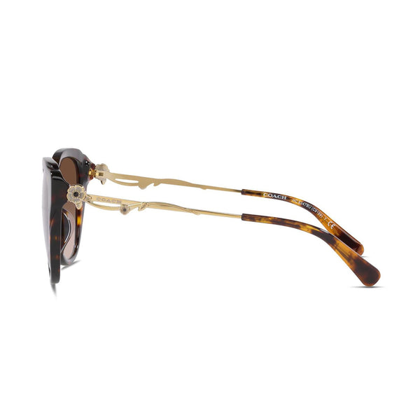 Coach Women's Square Frame Brown Acetate Sunglasses - HC8347BU