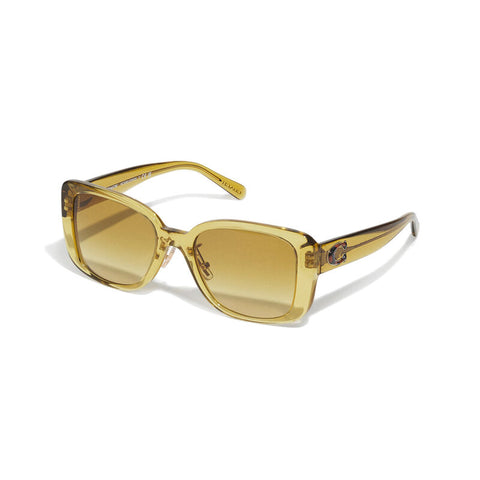 Coach Women's Square Frame Brown Acetate Sunglasses - HC8352