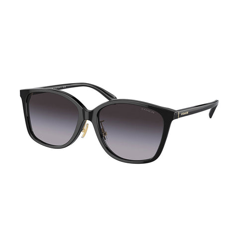 Coach Women's Square Frame Black Acetate Sunglasses - HC8361F