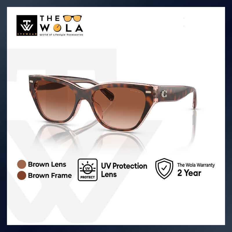 Coach Women's Cat Eye Frame Brown Acetate Sunglasses - HC8370U