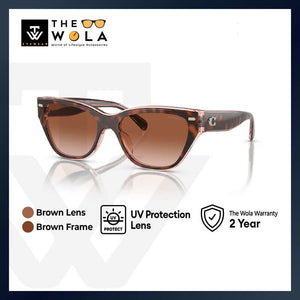 Coach Women's Cat Eye Frame Brown Acetate Sunglasses - HC8370U