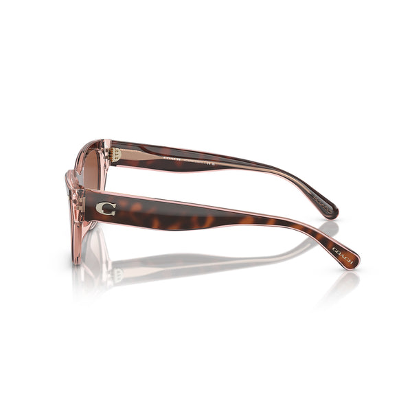 Coach Women's Cat Eye Frame Brown Acetate Sunglasses - HC8370U