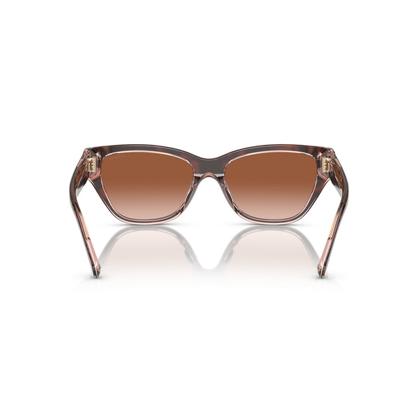 Coach Women's Cat Eye Frame Brown Acetate Sunglasses - HC8370U