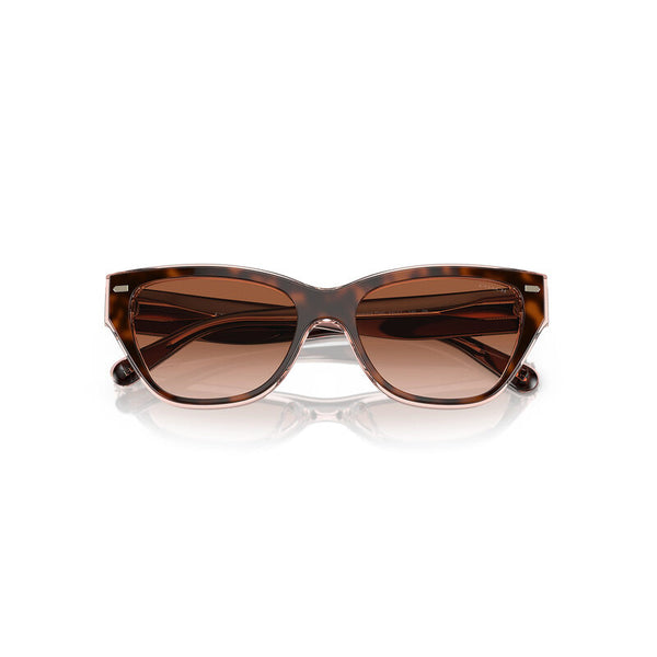 Coach Women's Cat Eye Frame Brown Acetate Sunglasses - HC8370U