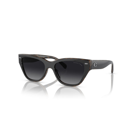 Coach Women's Cat Eye Frame Black Acetate Sunglasses - HC8370U