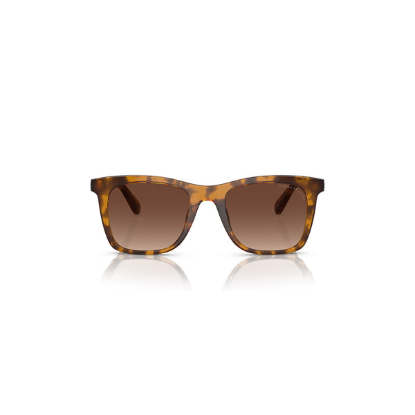 Coach x Disney Women's Square Frame Dark Tortoise Injected Sunglasses - HC8374U