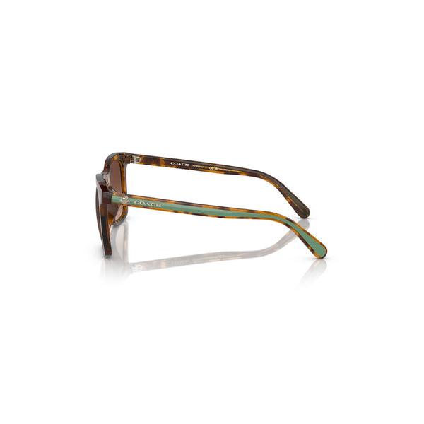 Coach x Disney Women's Square Frame Dark Tortoise Injected Sunglasses - HC8374U