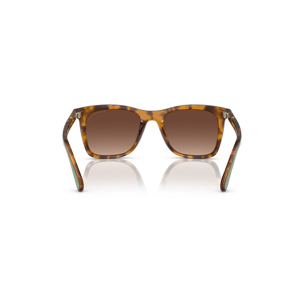 Coach x Disney Women's Square Frame Dark Tortoise Injected Sunglasses - HC8374U