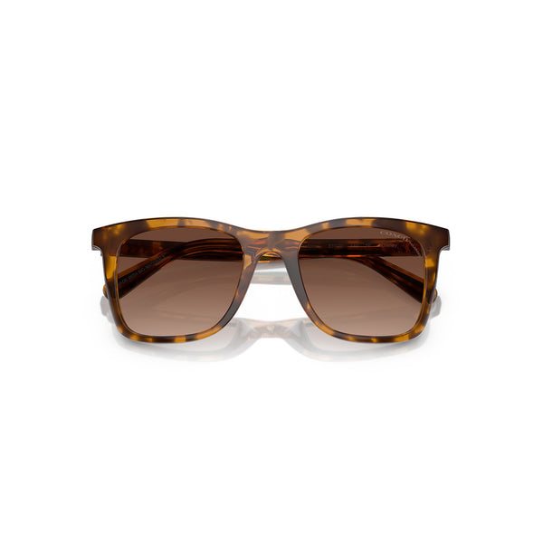 Coach x Disney Women's Square Frame Dark Tortoise Injected Sunglasses - HC8374U