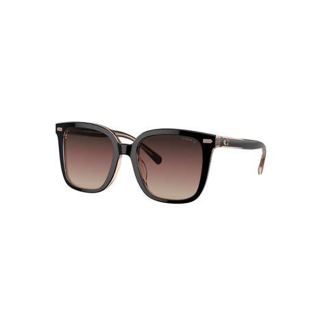 Coach Women's Square Frame Black Acetate Sunglasses - HC8381F