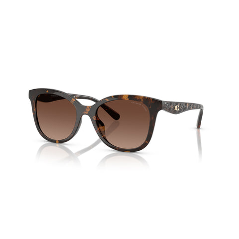 Coach Women's Square Frame Brown Injected Sunglasses - HC8419U