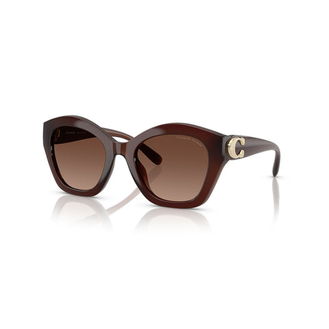 Coach Women's Irregular Frame Brown Injected Sunglasses - HC8421U