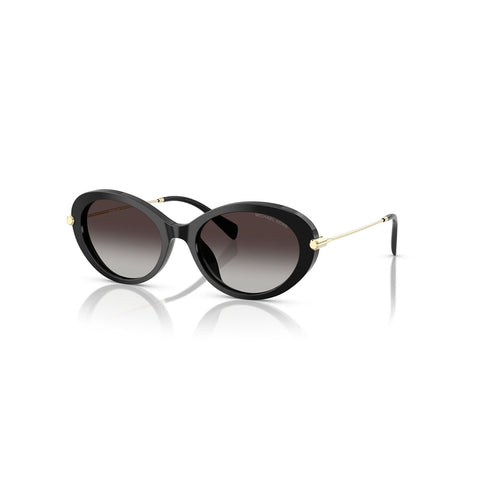 Michael Kors Women's Oval Frame Black Acetate Sunglasses - MK2245U