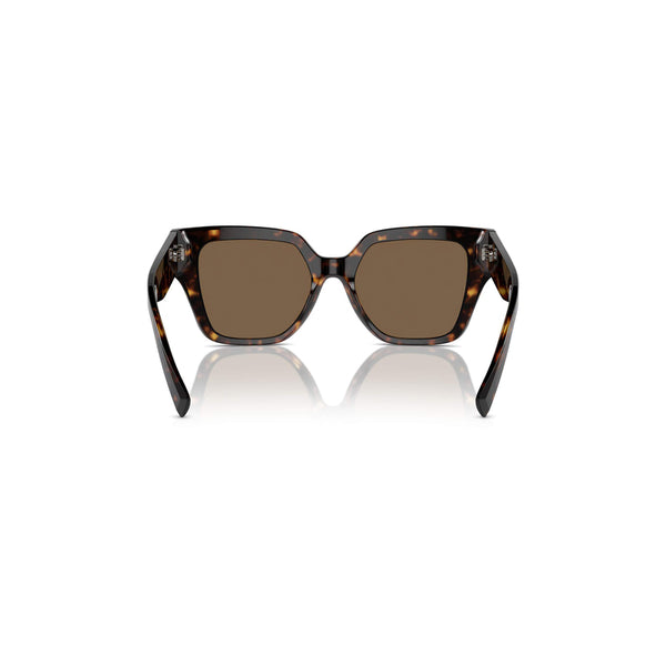 Dolce & Gabbana Women's Square Frame Brown Acetate Sunglasses - DG4471F