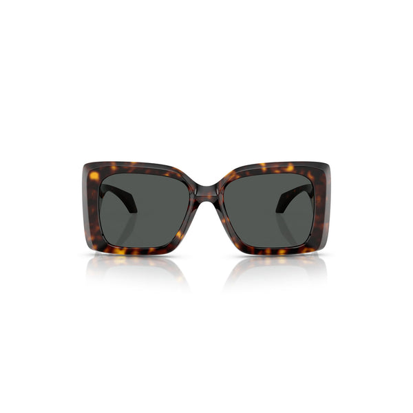 Versace Women's Irregular Frame Brown Nylon Sunglasses - VE4467U