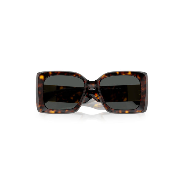 Versace Women's Irregular Frame Brown Nylon Sunglasses - VE4467U