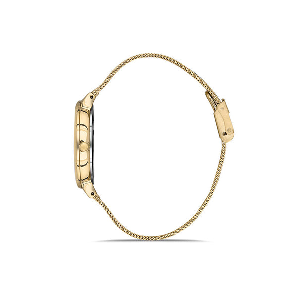 Daniel Klein Fiord Women's Analog Watch DK.1.13446-2 Gold Mesh Strap Ladies Watch | Watch for Women