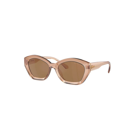 Michael Kors Women's Irregular Frame Brown Injected Sunglasses - MK2209U