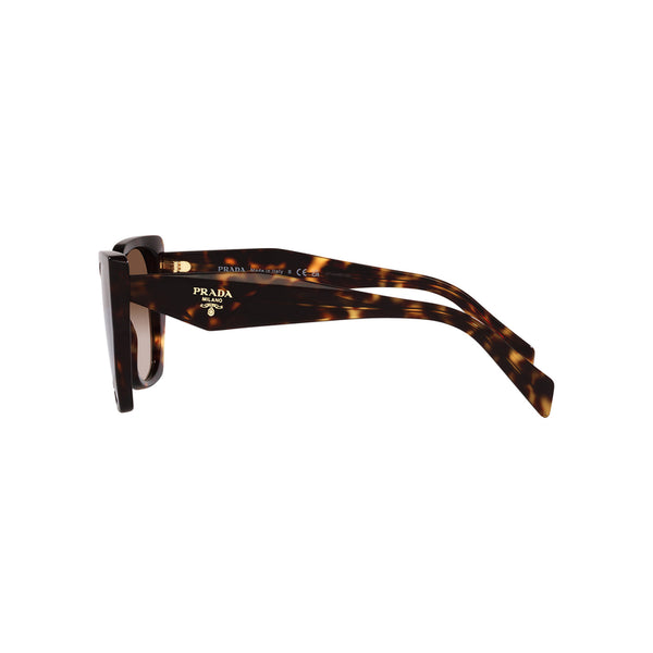 Prada Women's Pillow Frame Brown Acetate Sunglasses - PR 19ZSF